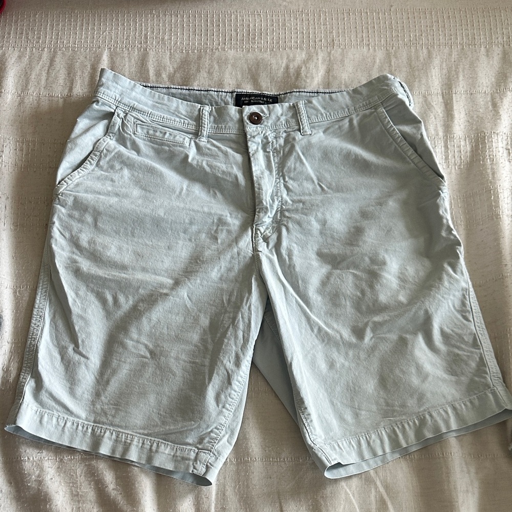 American Eagle Outfitters Men's Light Blue Flat Front Shorts